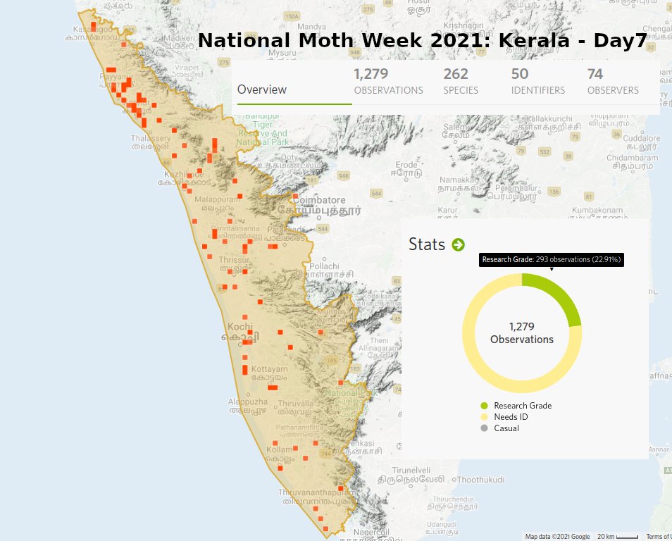 keralabio's tweet photo. National Moth Week 2021: Kerala - Day 7
update: 1250+ records  by ~74 observers and 262+ species (taxa) with ~50 identifiers on @inaturalist
We have only less observation from Pathanamthitta area. If anyone/your friends are located there, pls request to contribute. #MothsofKerala https://t.co/OhtGqHBKvG