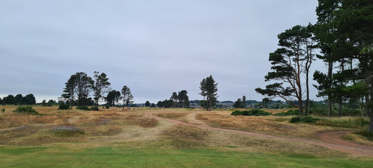 Quietbiglad's tweet photo. Another cracking day playing the Medal at Monifieth. Whole course in great nick, lightening fast and friendly as always. Some decent golf played too #Monifeith #Golf #LinksGolf #Angus #ScottishGolf #TomWatson https://t.co/QBpNOZkuoi