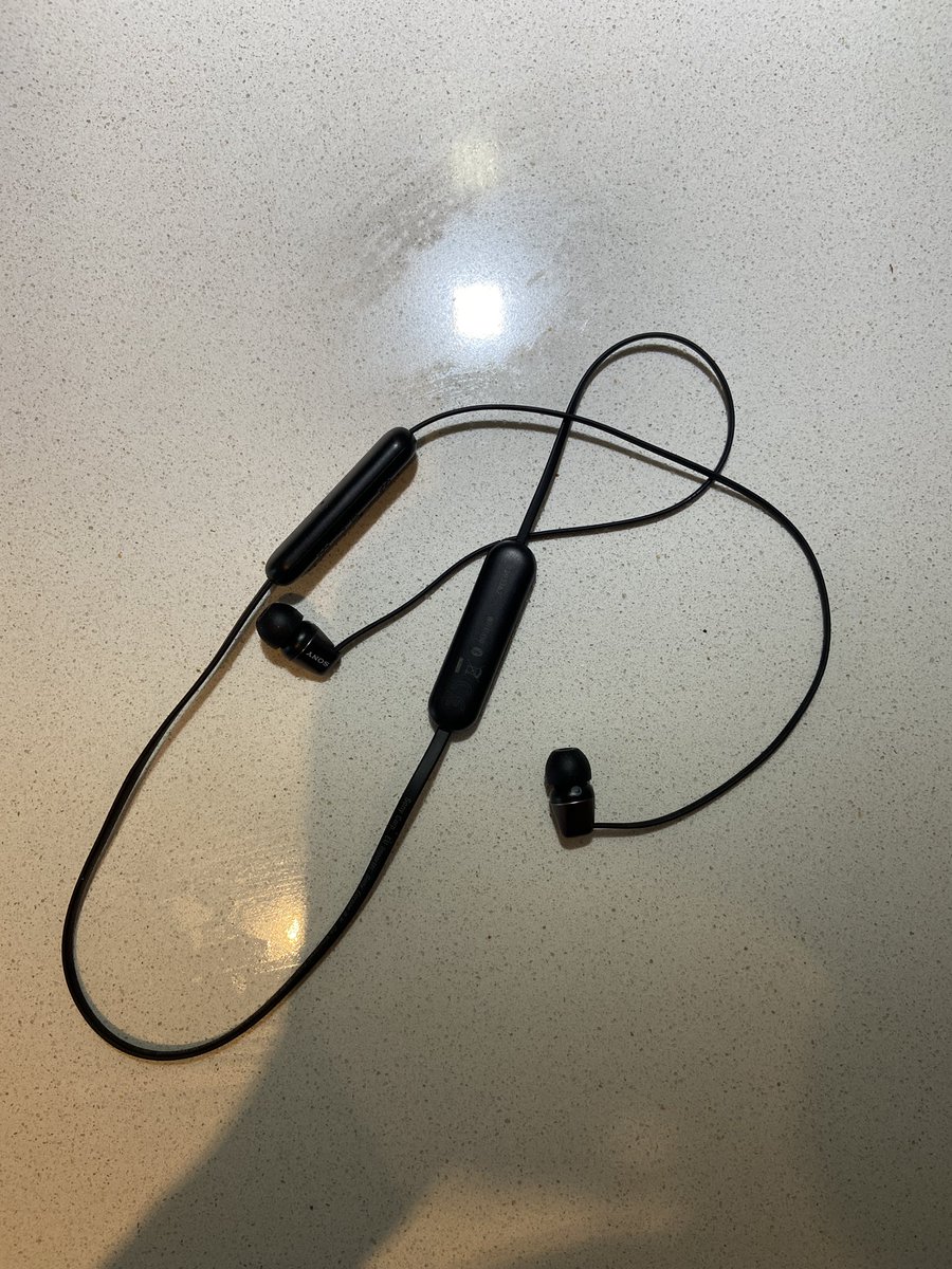 Maggie Majstrova tweet media