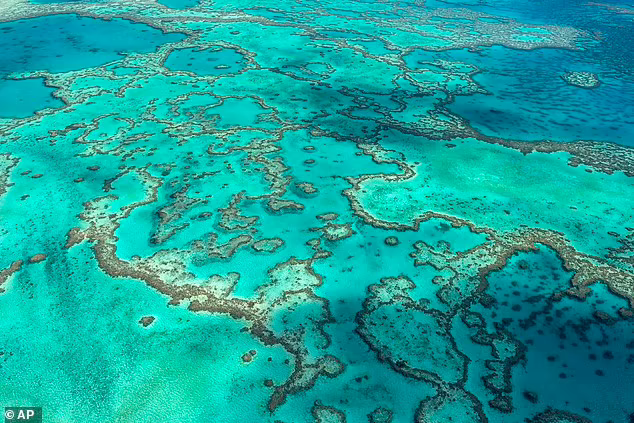 luigibignami's tweet photo. "Bella notizia (???!!!): l'UNESCO ha stabilito che la Grande Barriera Corallina NON è in pericolo nonostante il 60% di essa sia stata colpita da eventi di sbiancamento legati al cambiamento climatico" https://t.co/oXmYsP54Kp https://t.co/KcPjrM9spv