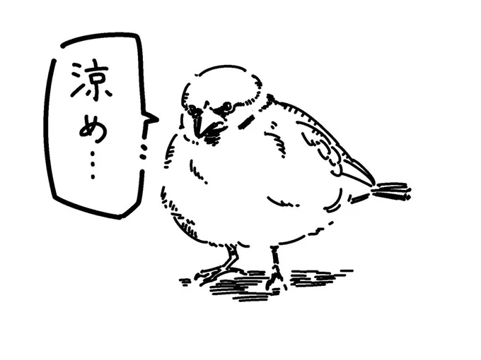 納涼を勧めてくるスズメ 