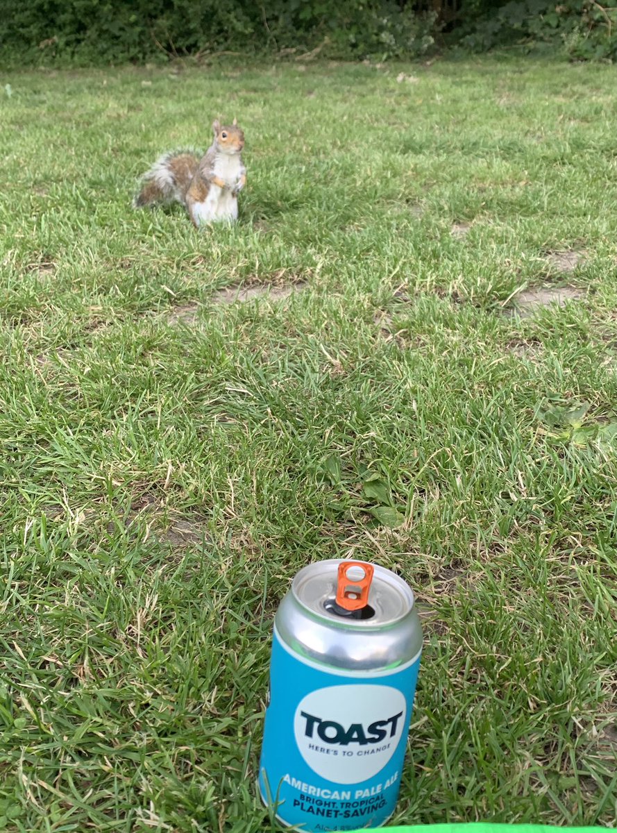 Oy Squirrel you’re not stealing my <a href="/ToastAle/">Toast Brewing</a>!   #refreshing #tasty #beer #picnics