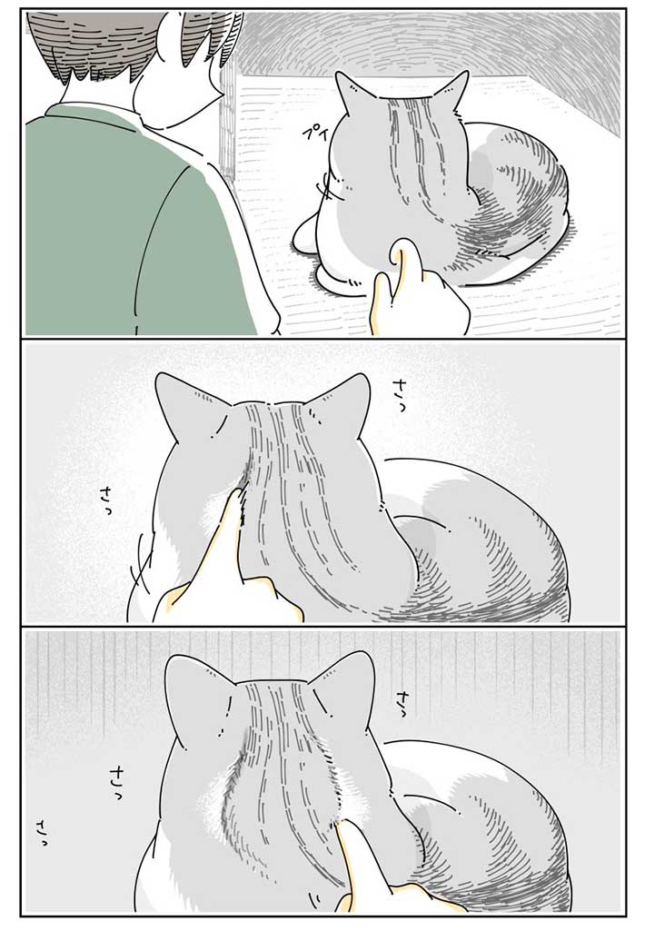 飼い主がいたずらをすると…猫の反応に、笑いがこみ上げる https://t.co/y7dKEVz4qo @grapeejpより 