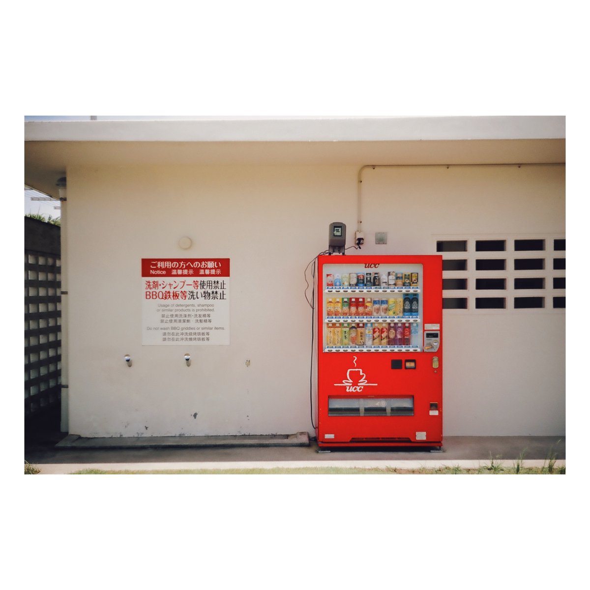 zeiss_okinawa's tweet photo. 早く台風過ぎ去ってほしい。
#ファインダー越しの私の世界 #写真好きと繋がりたい #フィルムカメラ #filmcamera #Leica #IIIb #summitar #vsco #お写ん歩 #海 https://t.co/9LgE0mXfWg