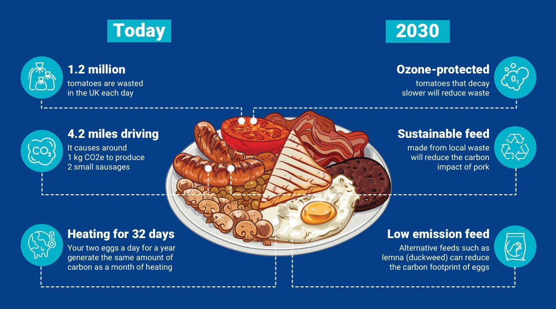 UKRI_News's tweet image. How will your full breakfast in 2030 be different from today? Eggs with lower carbon footprint, tomatoes that stay fresh for longer and more - how the research we support could help produce one of the UK's favourite dishes in a more climate-friendly way. 

#COP26 #UKRIatCOP26