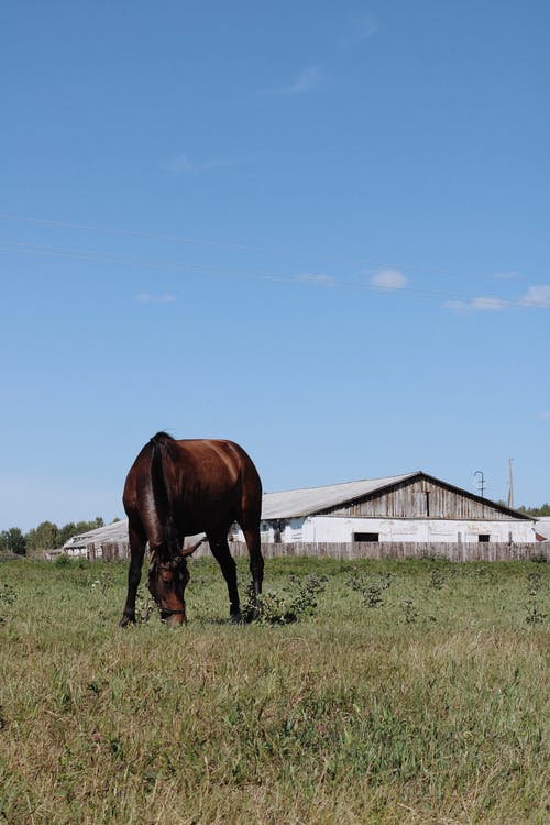 RolanBek (@optimist8888) on Twitter photo 