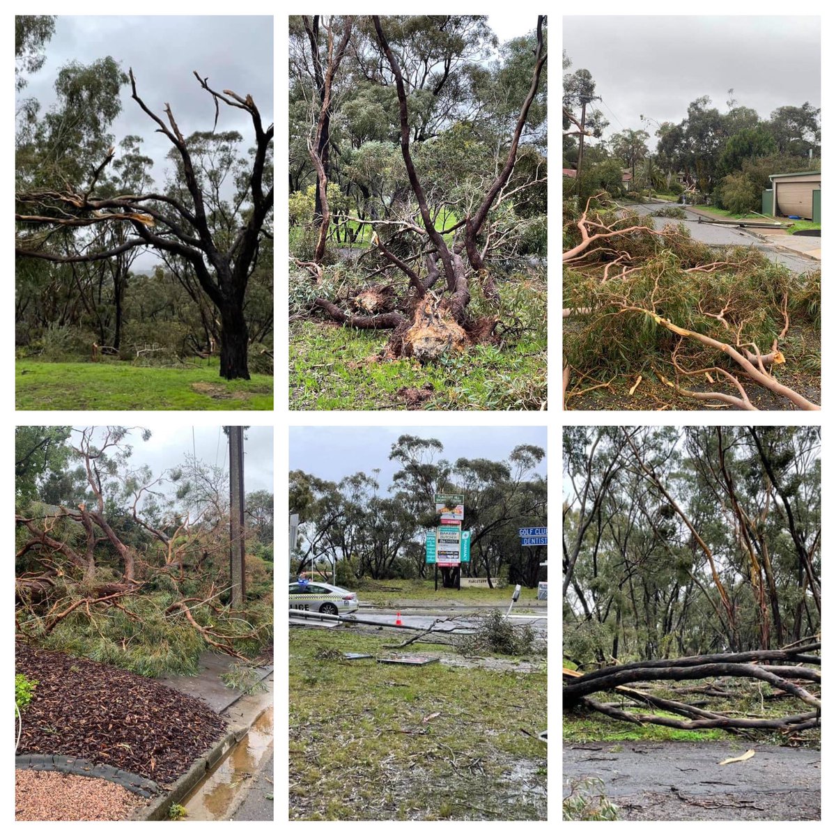 domjock's tweet photo. Lightning hit a tree up the road and apparently it was iike an earthquake, brought trees down in a 100m radius, onto powerlines and cars, been without power since after lunch till 10 tonight and I had 2 fences blown down! #crazystorm https://t.co/IRykHYuuwY