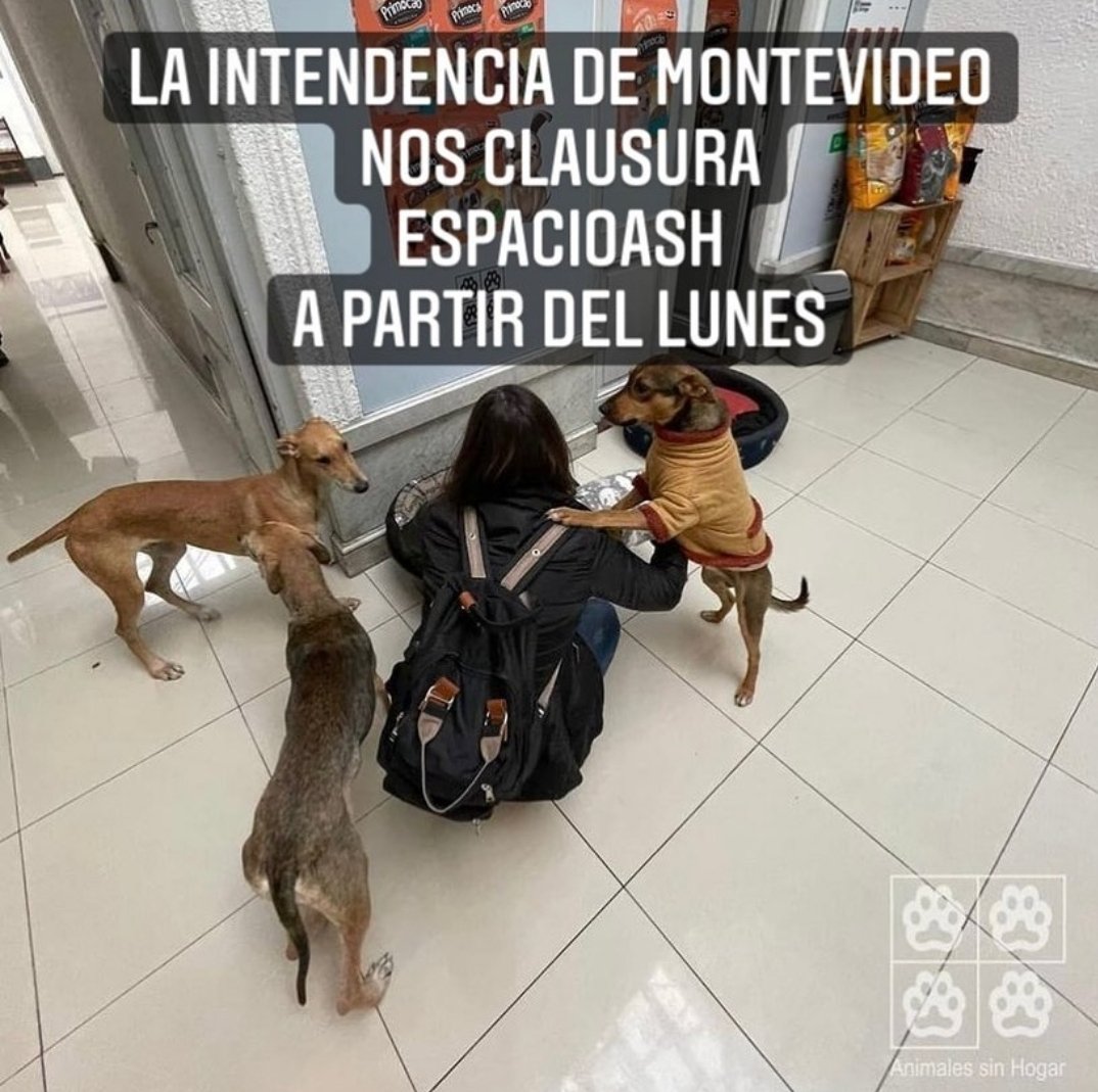 MarinaPiferrer's tweet photo. CÓMO ES POSIBLE QUE PASE ESTO!!!! NOOOOO DE NINGUNA MANERA!!! TOTALMENTE INJUSTO!! QUE SE DEBE EXPLICACIONES COHERENTES!!!! https://t.co/9w1KKSNm7U