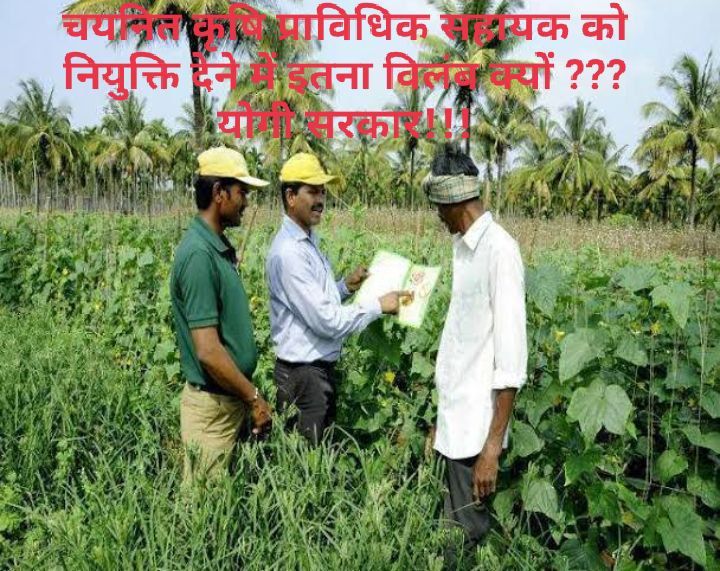 माननीय मुख्यमंत्री जी चयनित कृषि प्रविधिक सहायको को नियुक्ति देने की कृपा करें !!
#JOINING_4_AGTA2018
<a href="/myogiadityanath/">Yogi Adityanath</a>
<a href="/UPGovt/">Government of UP</a>
<a href="/spshahibjp/">Surya Pratap Shahi</a>
