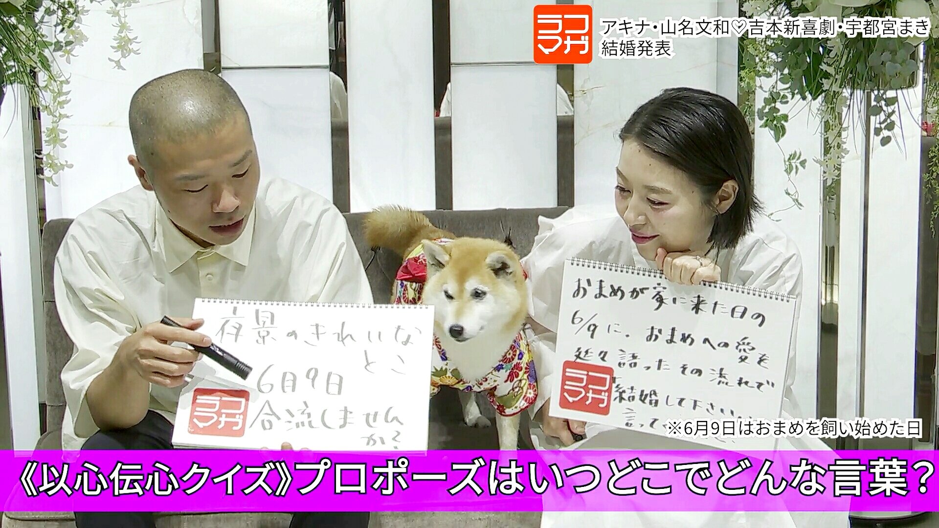 Twitter 上的 Natsu 山名さんご結婚おめでとうございます 宇都宮まきさんとびっくり 番組内でサプライズ発表のせやねん婚 6 9はおまめを飼い始めた日 ほんとに素敵なおふたりで感動してしまった T Co Nijhbjnelm T Co K5wc8ezwoq