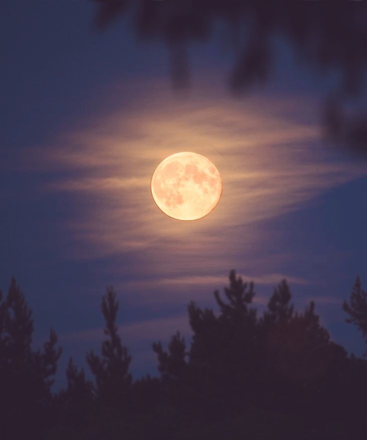 MarisolTorresRS's tweet photo. Goodnight Lovely Friends.🔭
If anybody needs me, I'll be outside gazing at the Moon &amp; Sky.
#BeSafeAndBeWell https://t.co/N197gNBHPM
