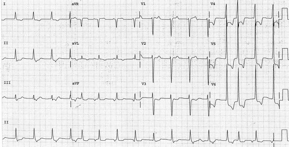 Philip J Podrid MD tweet media