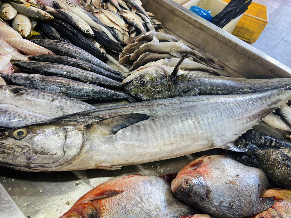 StoreIfish's tweet photo. First class Export Quality fishes direct from #Pazhaverkad coastal now at our @StoreIfish https://t.co/MmmiYeOXkC