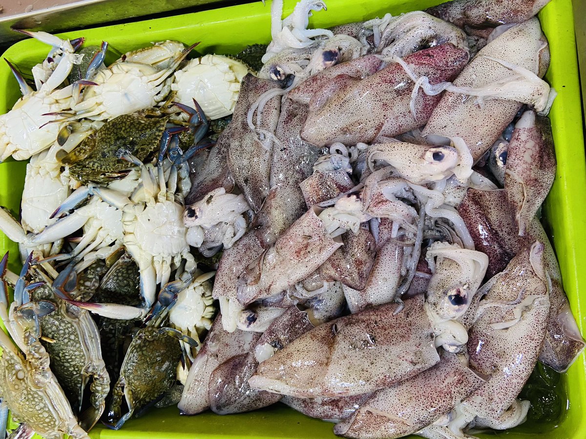StoreIfish's tweet photo. First class Export Quality fishes direct from #Pazhaverkad coastal now at our @StoreIfish https://t.co/MmmiYeOXkC