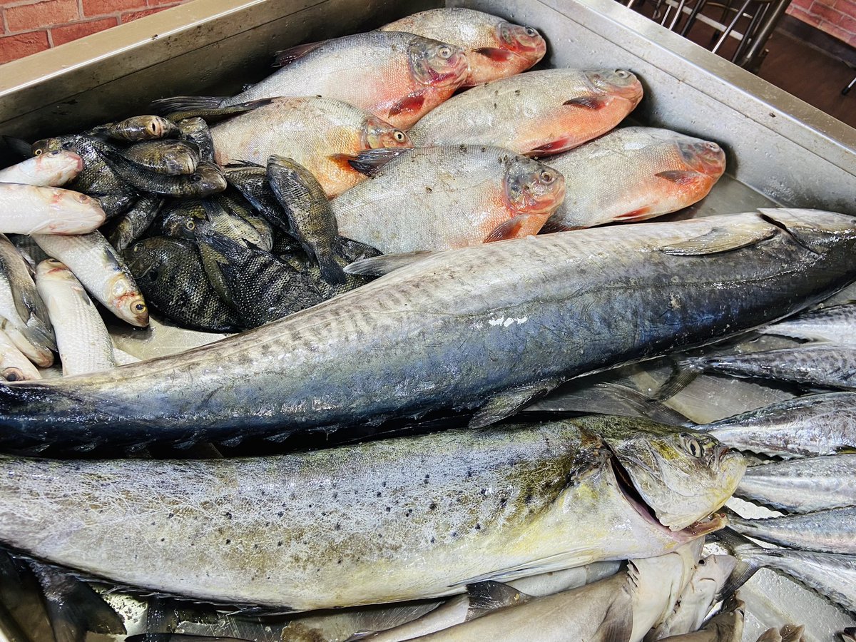StoreIfish's tweet photo. Prawns from sea @StoreIfish #prawns #squid https://t.co/lBl9bUvcAk