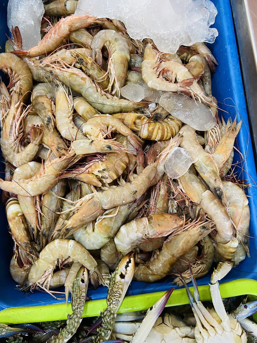 StoreIfish's tweet photo. Prawns from sea @StoreIfish #prawns #squid https://t.co/lBl9bUvcAk