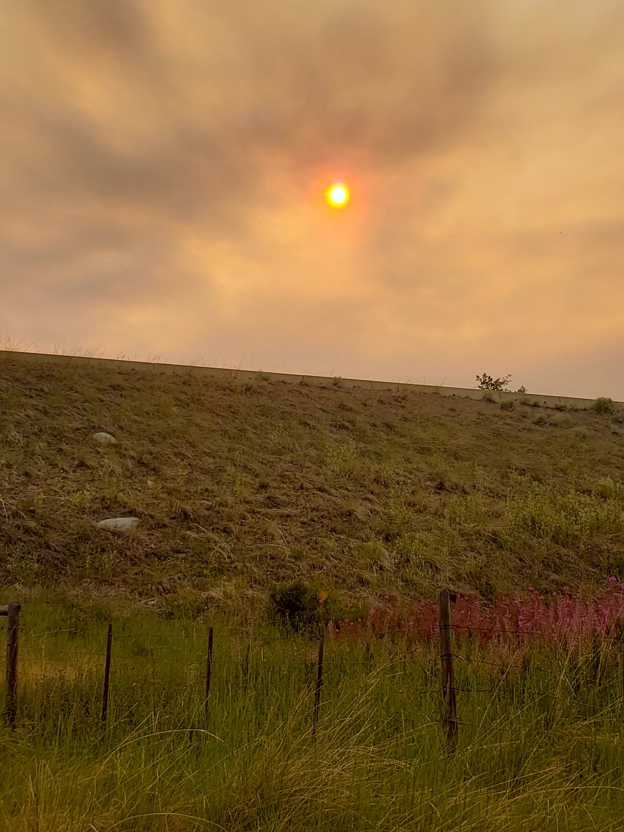 KimBeerWalter's tweet photo. @jannarden FIRE SUN Prayers for those who had to leave their home at Shacken! https://t.co/5L9xMxIbNC