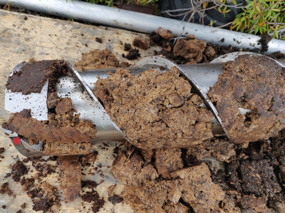 Emily L Ogden tweet media