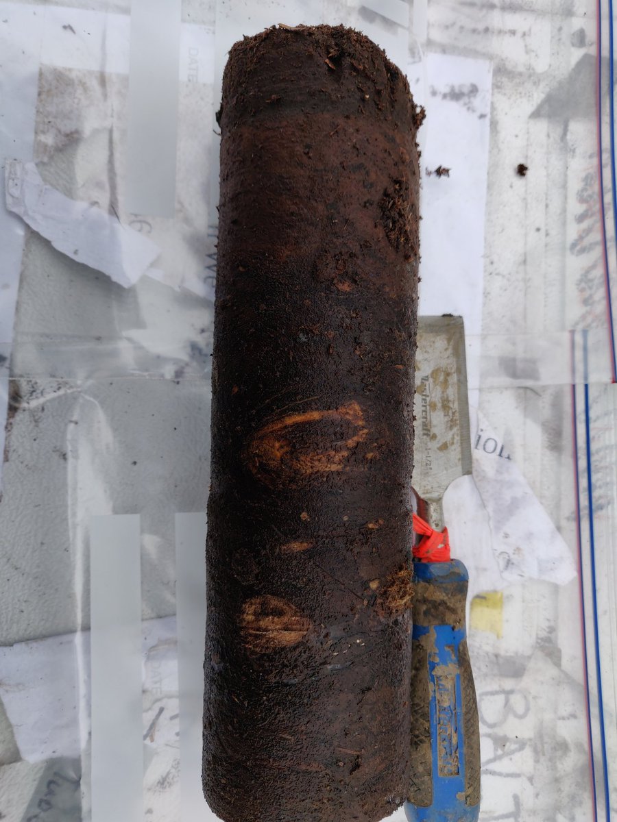 Emily L Ogden tweet media