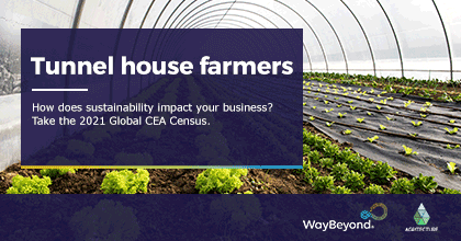 Calling all you tunnel house farmers! Here's your chance to share your experience in the CEA sector and your thoughts on sustainability. Our friends at <a href="/WayBeyond_io/">WayBeyond</a> and <a href="/agritecture/">AGRITECTURE</a> are running the 2021 Global CEA Census. Be part of the conversation!

👉 hubs.ly/H0SD86-0