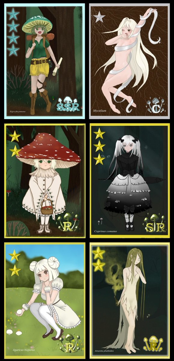 Mycelium_girlsNFT tweet media