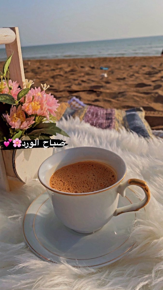 Zaonoob2014's tweet photo. على حسك تزهر الدنيا محاسن💓. https://t.co/uUcQIdhcCp
