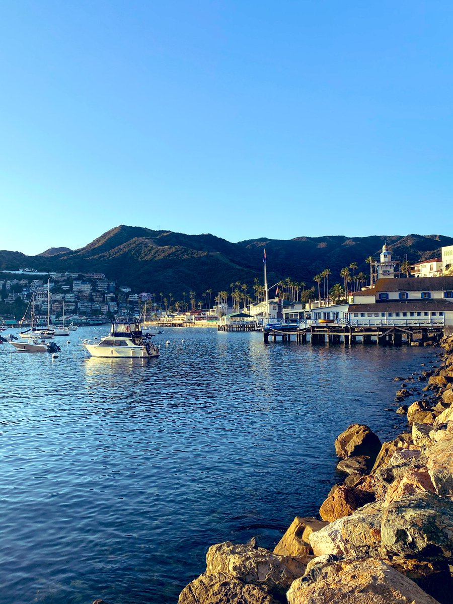 Brian Carr tweet media