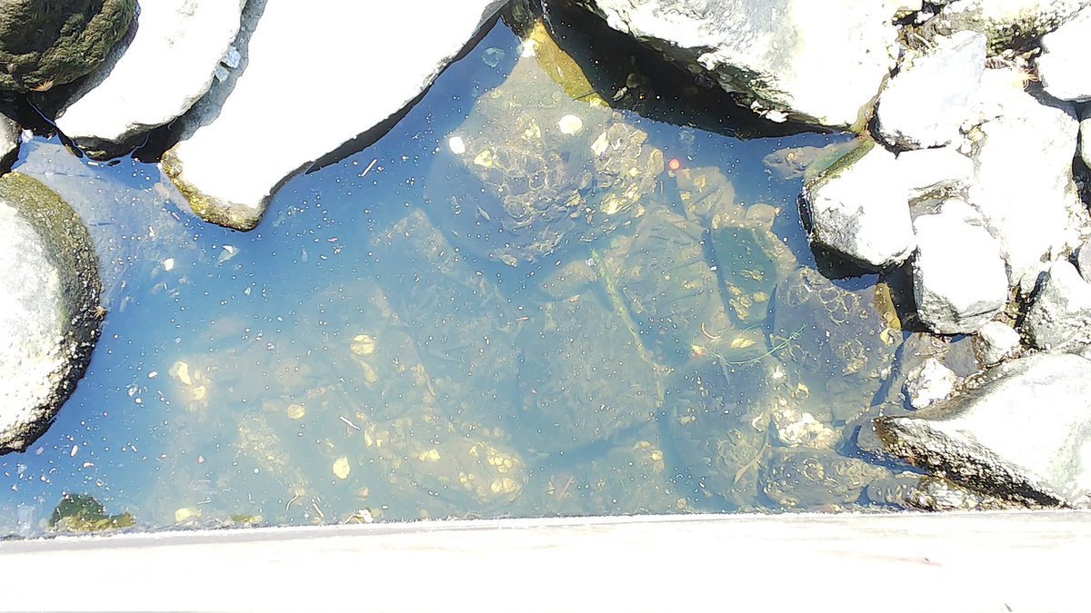 穴釣り