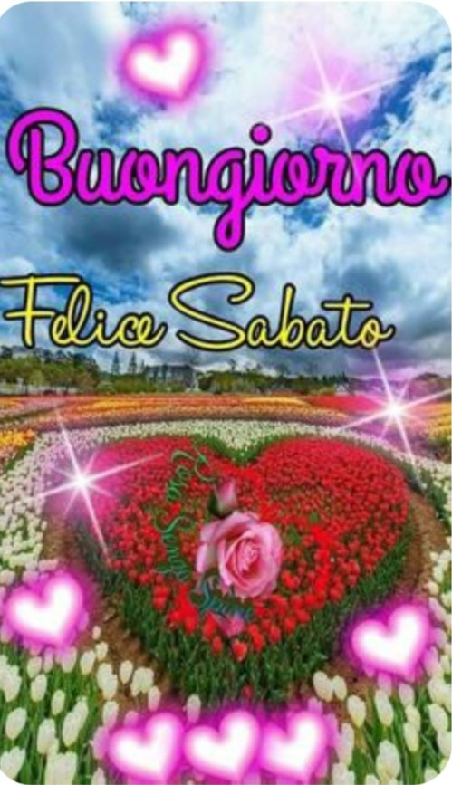 Buona giornata 💟💐🌼🌹🍀🏖️☀️💮🙋💟💐🌼🌹🍀🏖️☀️💮🙋💟💐🌼🌹