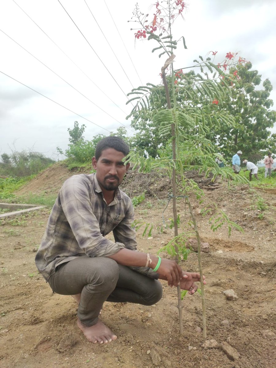 AvualS's tweet photo. @KTRTRS జన్మదిన శుభాకాంక్షలు కేటీఆర్ సార్ పుట్టినరోజు సందర్భంగా నా వంతు సాయంగా చెట్లు నాటడం జరిగింది https://t.co/p1sM3s6B4g