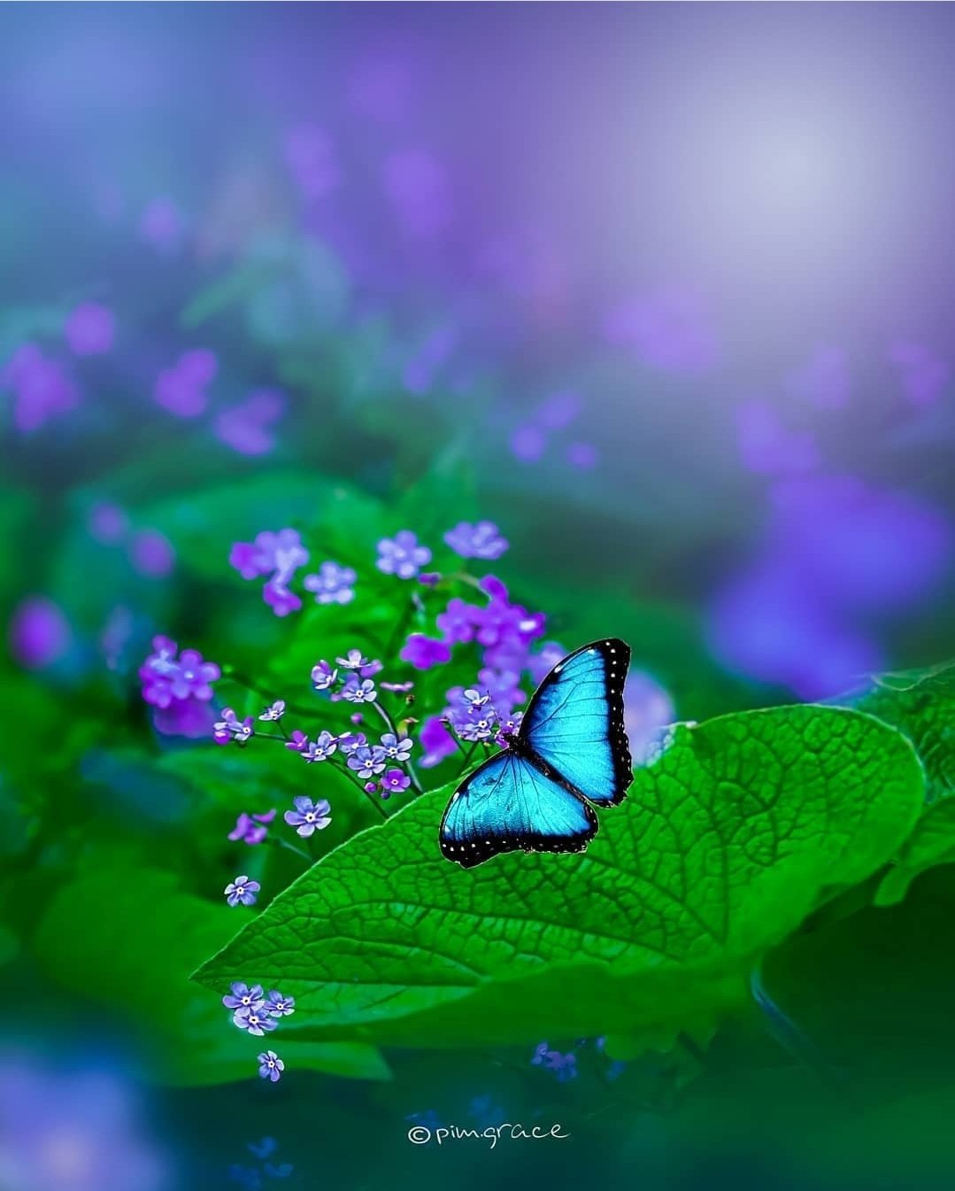 Majid Ostavar 1993 Twitter