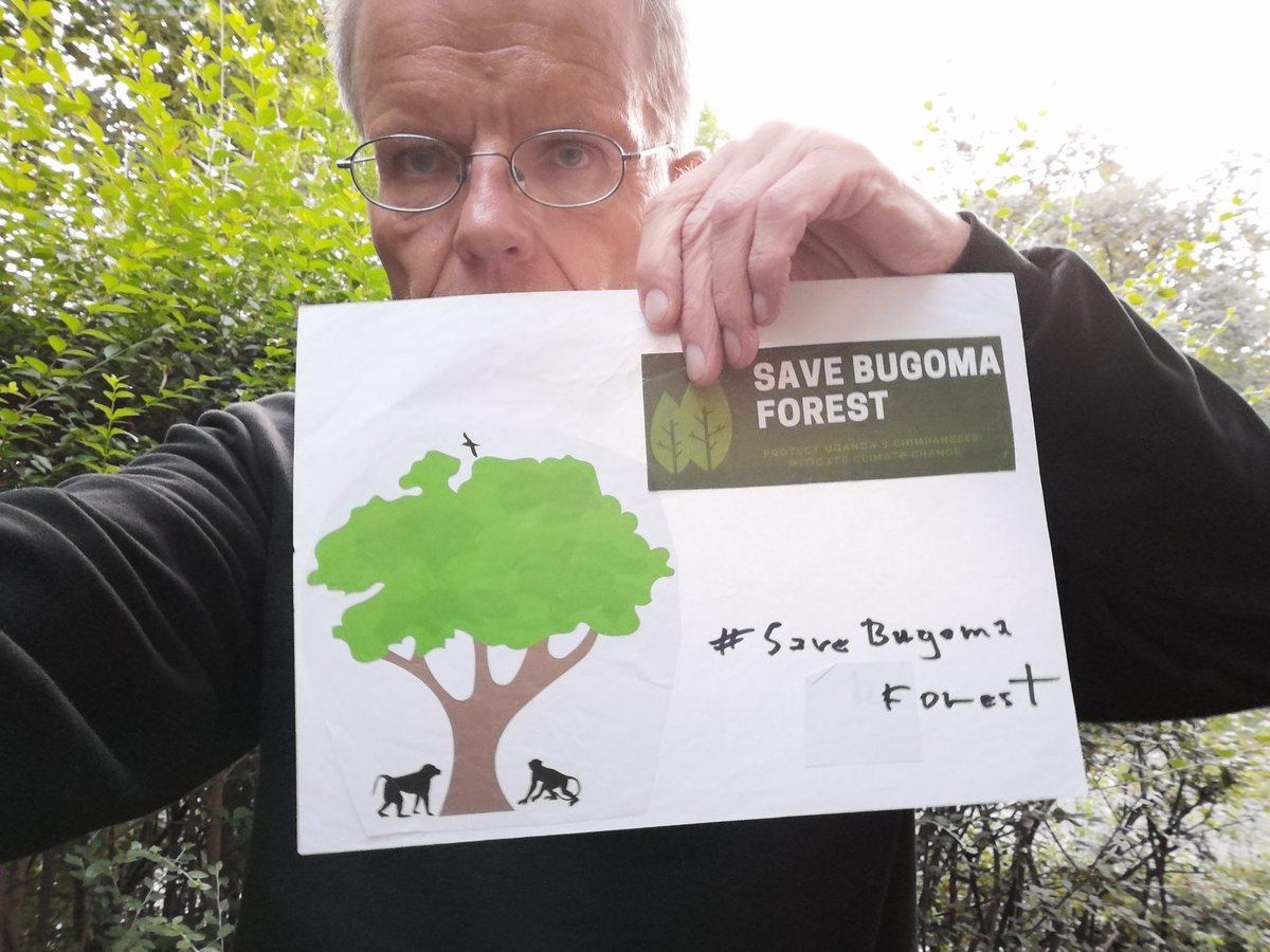endelstamberg's tweet photo. I am Endel Stamberg, a climate activist from Germany. Uganda forest cover has depleted to 8%. And one of the forest in Uganda has been sold for agribusiness.  I’m calling upon activists around the world to add their voices on mine and #SaveBugomaForest! 
@KaoHua3
@Greenpeace https://t.co/MbsMk5egMb