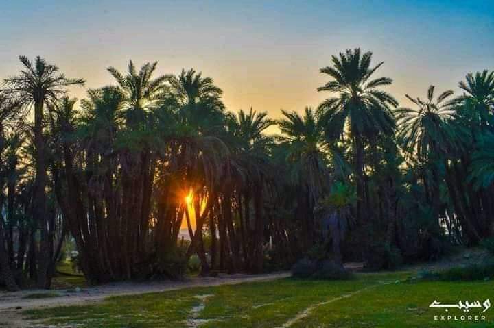 AttaMuhammadBa7's tweet photo. #کوہ_سلیمان https://t.co/62q4VriqDY