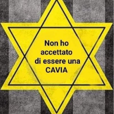 patrizia morano tweet media