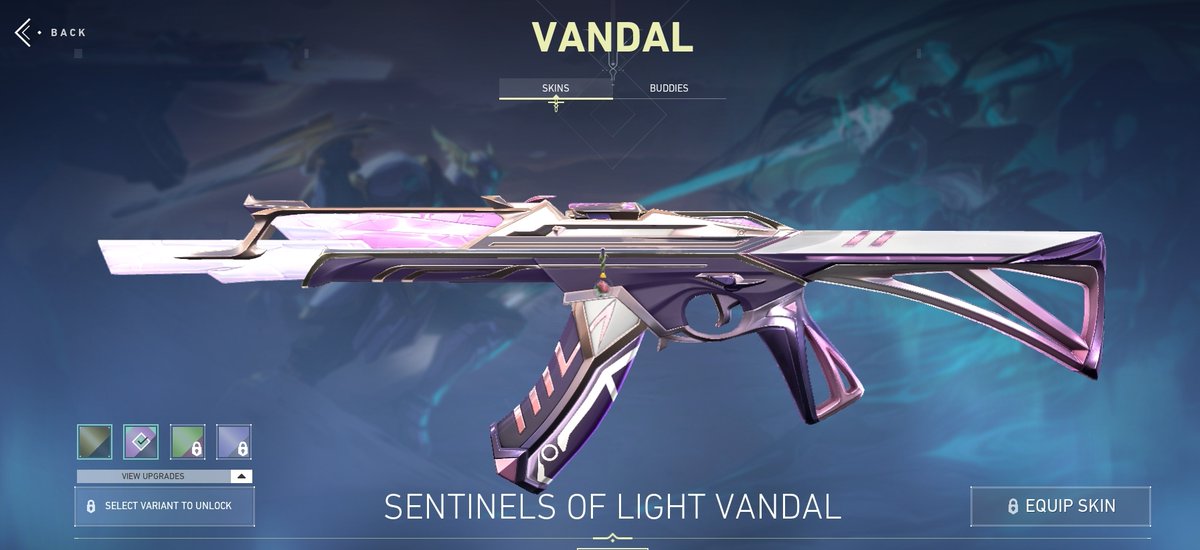 jessicahkim's tweet photo. she doesn't want much she just wants the pink variant of the sentinels of light vandal https://t.co/pv6IyjzlNi