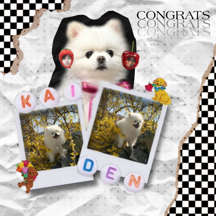 niIampaso's tweet image. ㅤ ㅤ ㅤ ㅤㅤ
ㅤㅤ
ㅤ  sns update ﹫niIampaso.⠀ 
      2O21년 O7월 24일 ╱ 2:15p.m.
     📍 XV Fur School Training Garden
⠀
⠀    ⩩ Kaishi.⠀ ❝ Congratulations to our baby Kaiden! 🥺 ❞

           ⠀⠀