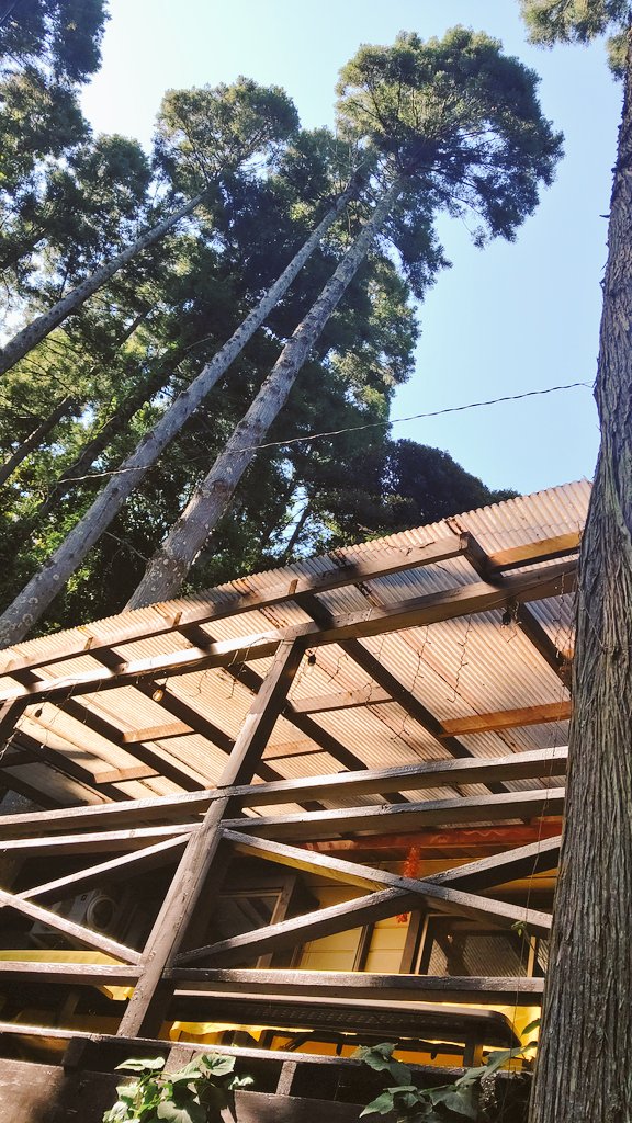 kagamiyamomoka's tweet photo. チェックイン!!🏕️💚✨ https://t.co/B6WZytW1xz