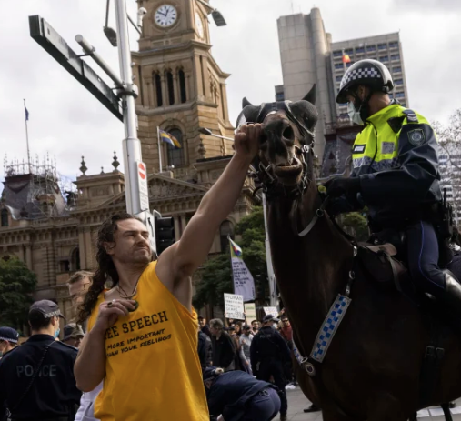 An absolute moron, wearing a "Free Speech" singlet, during an anti-lockdown protest, punching a horse. 

Put this image on a stamp.