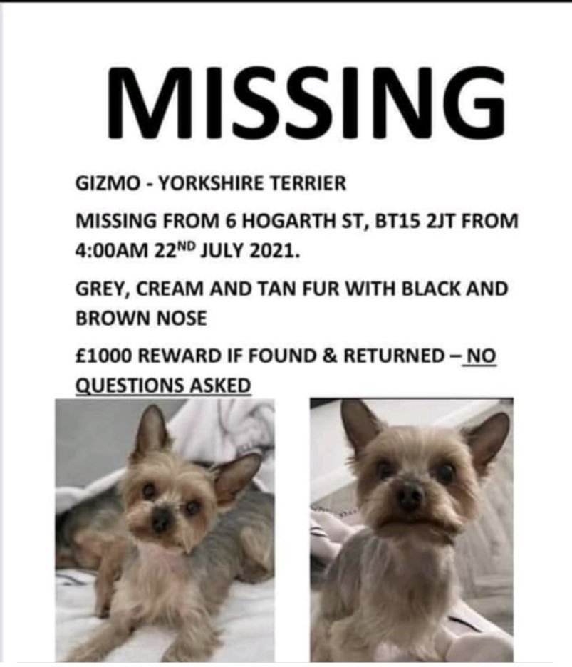 Winkie5Murphy tweet media