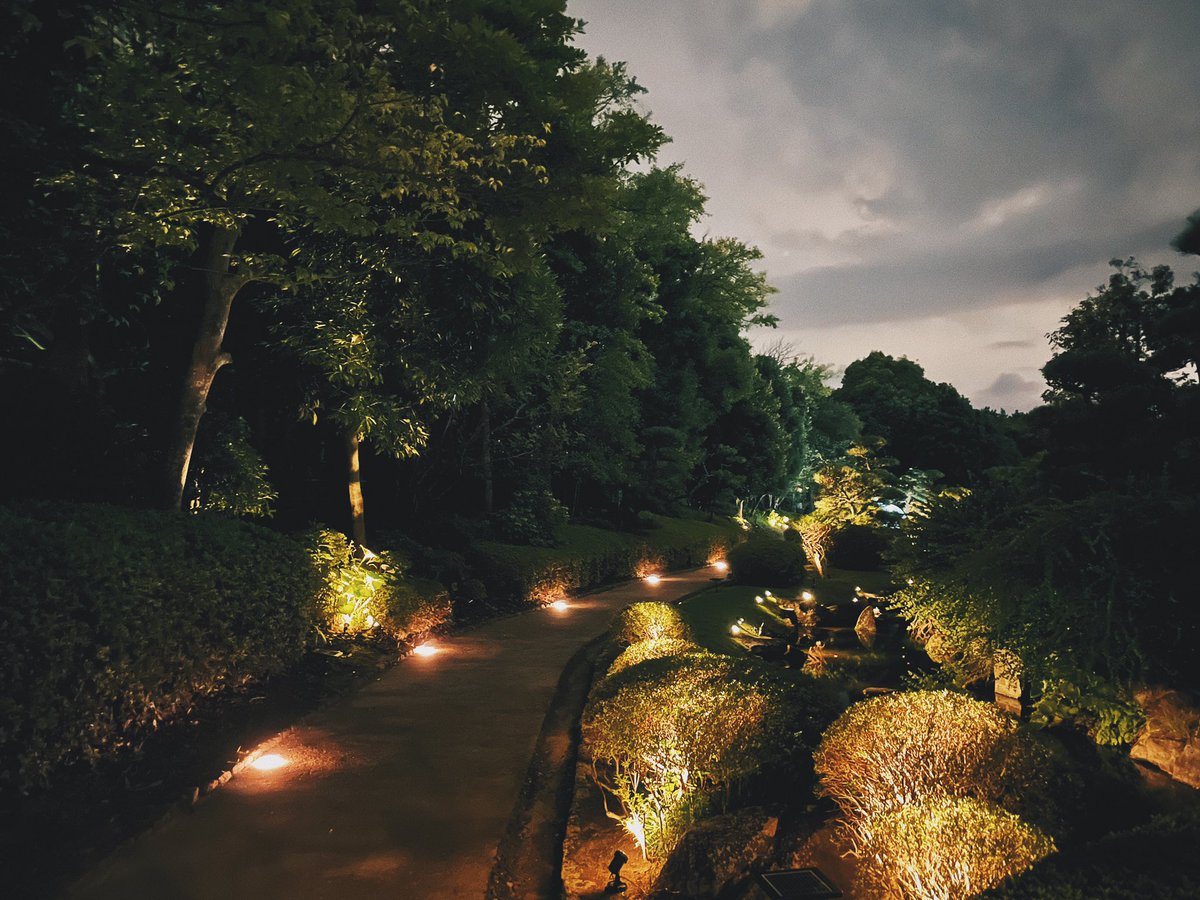 きびゆりえ｜PYNTとパーパスモデル tweet media