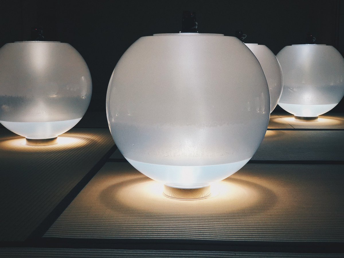 きびゆりえ｜PYNTとパーパスモデル tweet media