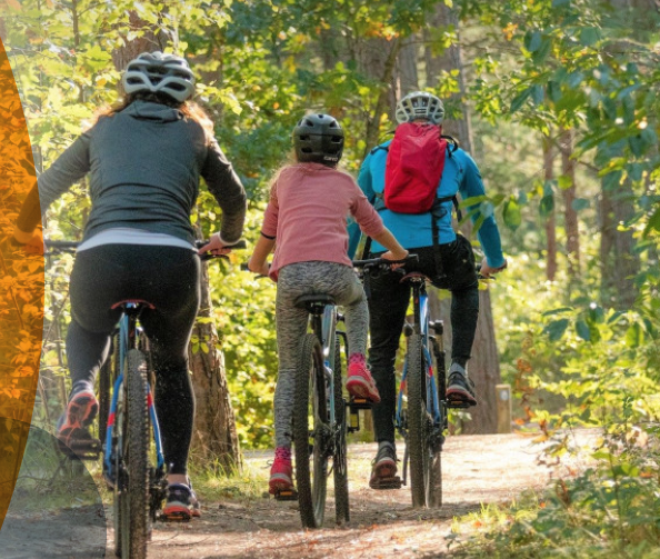 ICM_Montpellier's tweet photo. #ActivitéPhysique: les vacances sont favorables à la pratique d’activité physique. Profitez-en pour en tester de nouvelles et partagez de bons moments en famille ! 
> Nos conseils prévention: https://t.co/pDTquLHNuJ
#Prévention #Santé #JeMeBouge #Ensemble  @GroupeUNICANCER #GDVB https://t.co/bFnocxOAY4