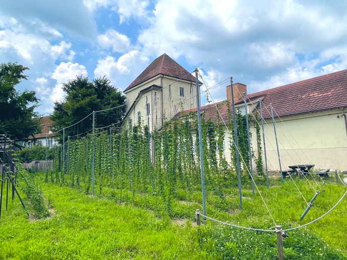 Twitterのコスプレ画像3