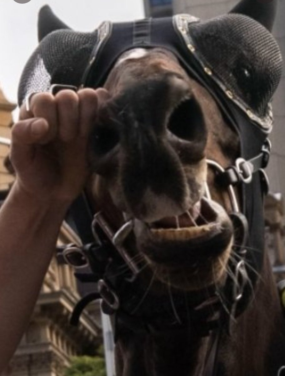 Susan Smith tweet media