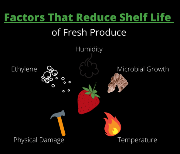KeepMeFresh2's tweet photo. Its simple to address most of these causes and extend shelf life of fresh produce #foodwaste https://t.co/a9UrKwN32M