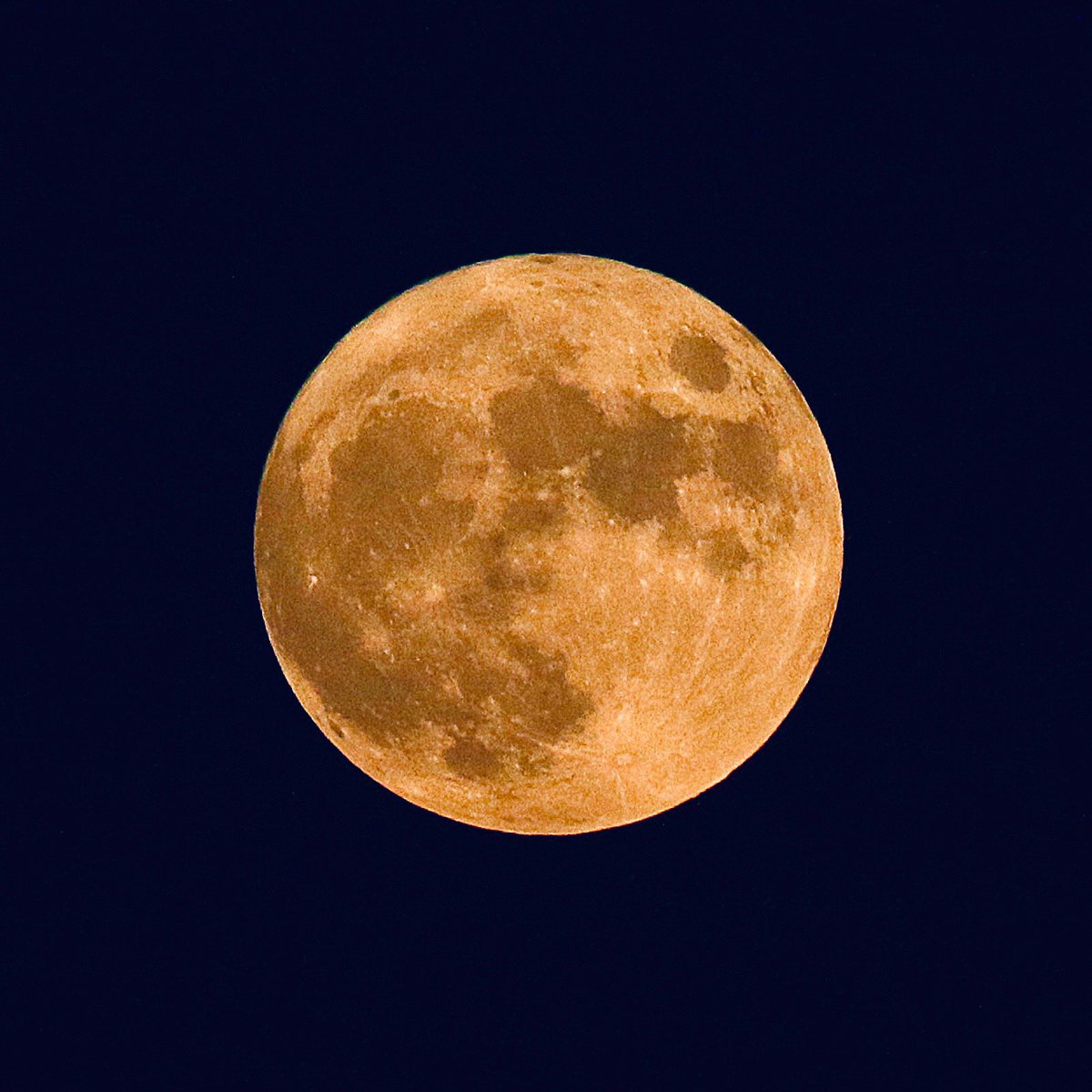 Buck moon. July 23, 2021.