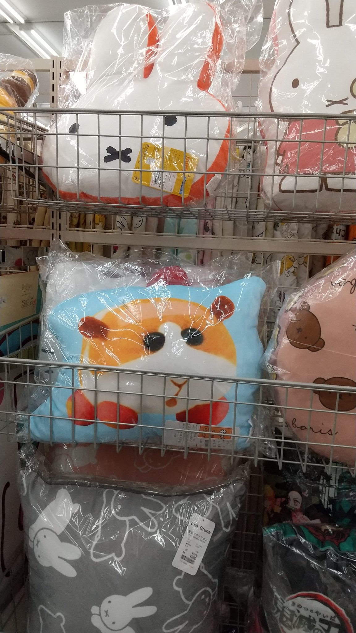 椎原かっぱ バースデイ しまむら系列のベビー用品屋 にモルカーグッズあったよ T Co Mpash1cryz Twitter