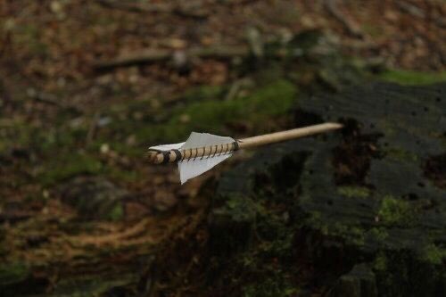 ProfsLuciferus's tweet image. ㅤ
Tidak terasa semakin dalam kalian memasuki hutan, cahaya pun sudah semakin berkurang. Suara samar-samar terdengar, sebuah anak panah terlepas entah darimana san tertancap ke salah satu pohon tumbang tepat di depan Kyros.

“HEI! ASTAGA! Apa kalian terluka?” Tanya Kyros.
ㅤ