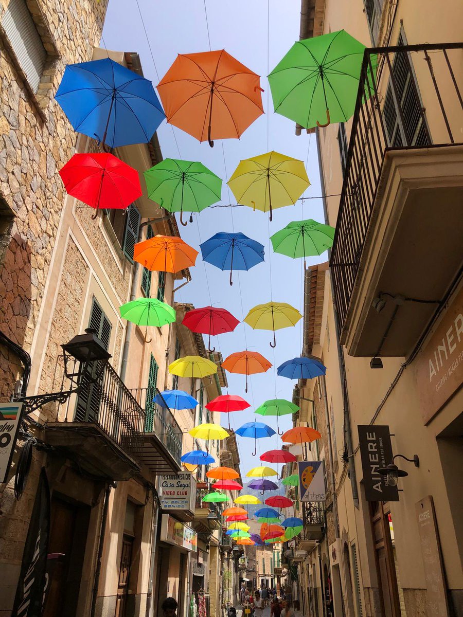 NO FRILLS EXCURSIONS tweet media