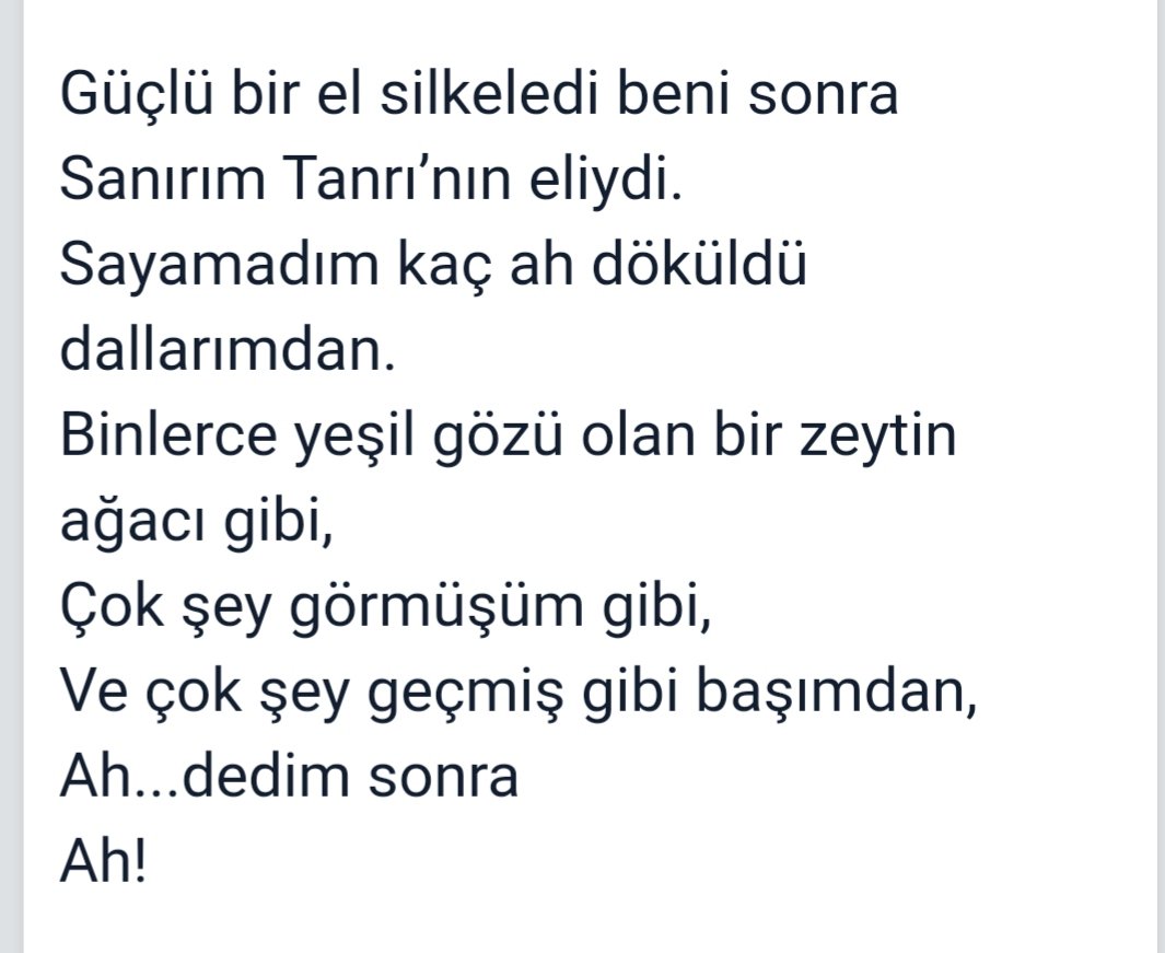 Rahmetle ozlemle  #ahlarağacı  #DidemMadak